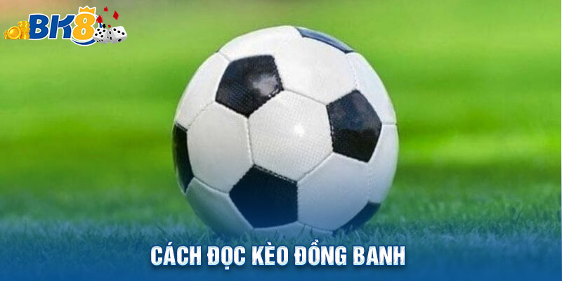 Cách Đọc Kèo Đồng Banh Siêu Dễ Và Thắng Lớn Cho Người Mới